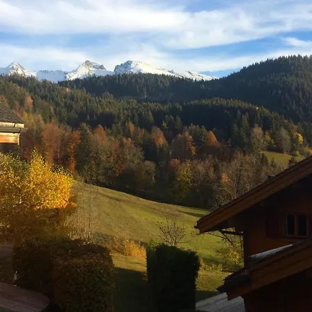 Chalet - Saint-jean De Sixt