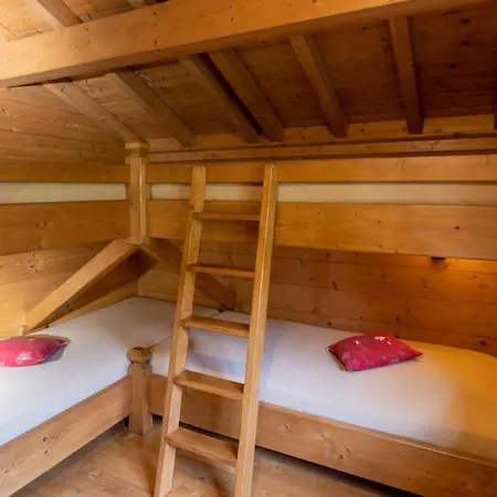 Chalet - Saint-jean De Sixt *